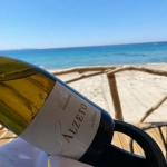 L'Alzeto Blanc Prestige 2024 - AOP AJACCIO