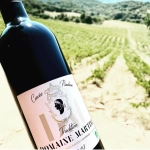 DOM MARTINI Cuvée Tradition Pauline - AOP Ajaccio