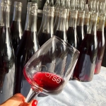Domaine FIUMICICOLI Rouge - AOP Sartène