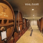 Côte du Rhône Rouge 2021 - Vidal-Fleury VALLE DU RHÔNE