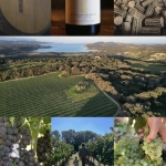 Domaine Buzzo Bunifazziu - ROUGE CIAFARA 2024